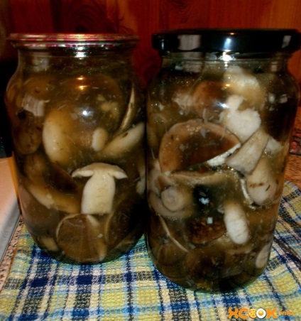 A pácolt vargánya - lépésről lépésre recept képekkel a téli (recept) A pácolt vargánya - lépésről lépésre recept képekkel a téli