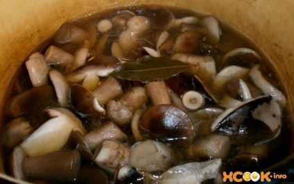 A pácolt vargánya - lépésről lépésre recept képekkel a téli (pácolt tinóru recept télen) A pácolt vargánya - lépésről lépésre recept képekkel a téli