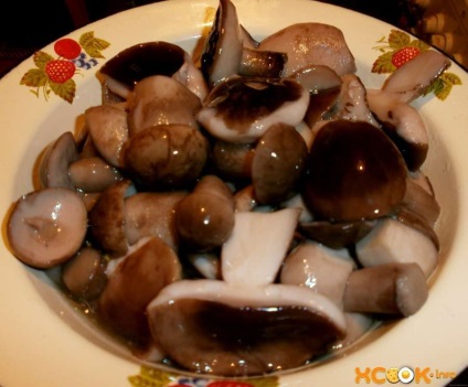 A pácolt vargánya - lépésről lépésre recept képekkel a téli (tinóru) A pácolt vargánya - lépésről lépésre recept képekkel a téli