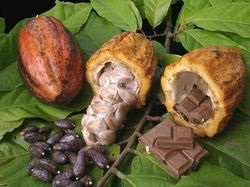 Масло какао, його властивості та способи застосування! Ярмарок майстрів - ручна робота, handmade