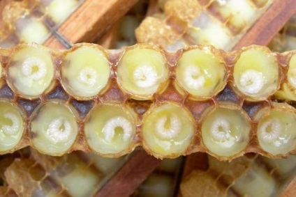 A méhpempő a kozmetikumokban használják az otthoni