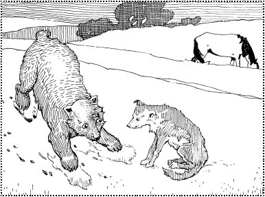 Bear, kutya és macska - olvasható on-line indbooks