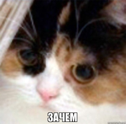 Meme macska képek (mém macska fotó) Cat mém fotó