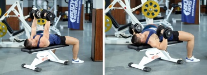 Fújjuk súlyzó mellizmok (pectorals) Tekerje fel a mellizom súlyzók