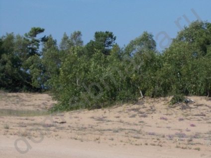 Autóval Bajkál-tó - Utazás Magyarország (Trans-Bajkál Nemzeti Park) Autóval a Bajkál-tó - Magyarországon utazási