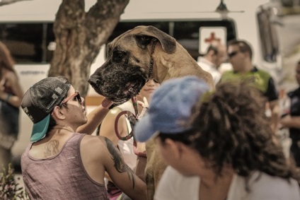 Great Dane, Encyclopedia of kutya (körülbelül a kutya testét) Great Dane, Encyclopedia of kutyák