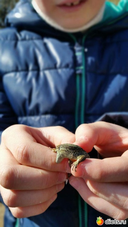 A világ körülöttünk, és hogyan végzünk tanulságok naplók