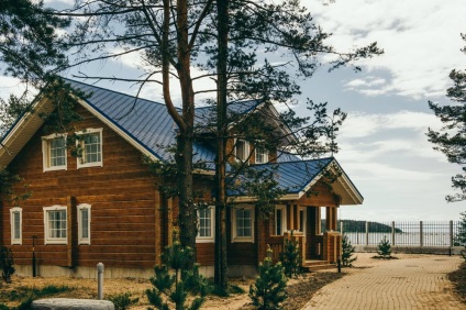 Háziállattal utazók a leningrádi régióban, vidéki kiruccanáshoz