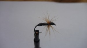 Mintegy tenkare, tenkara veszi, repül, tenkara zsinór, Kebara Cave, pér (tenkare) Mintegy tenkare, tenkara veszi, repül, tenkara zsinór, Kebara Cave, pér