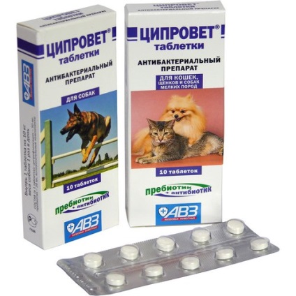 Vélemények tsiprovet pirula - Kutya - életmód (vélemény) Vélemények tsiprovet pirula - Kutya - Életmód