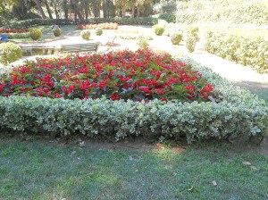 Park labirintus ort bcn, espanglish (labirintust) Park labirintus ort barcelona, espanglish