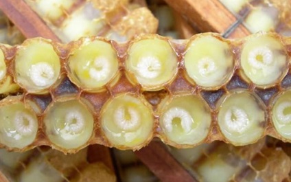 Royal Jelly Arc maszkok különböző típusú bőrre (maszkok) Méhpempő álarcok különböző típusú bőrre