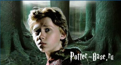 Karakter a Harry Potter leírások, képek és érdekes pillanatok életük (a karaktereket Harry Potter) Karakter a Harry Potter leírások, képek és érdekes pillanatok életük