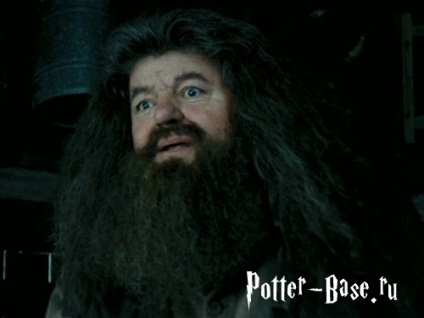 Karakter a Harry Potter leírások, képek és érdekes pillanatok életük (Harry) Karakter a Harry Potter leírások, képek és érdekes pillanatok életük