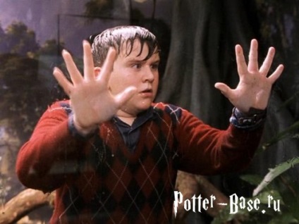 Karakter a Harry Potter leírások, képek és érdekes pillanatok életük (Potter) Karakter a Harry Potter leírások, képek és érdekes pillanatok életük