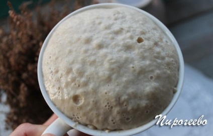 Pizza - Margarita - otthon a sütőben recept (recept) Pizza - Margarita - otthon recept a kemencében