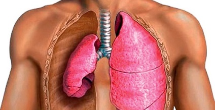 Pneumothorax, tünetei és kezelése okainak pneumothorax (légmell) Pneumothorax, tünetei és kezelése okainak pneumothorax