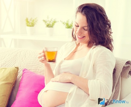 Vese tea készítmény a terhesség és vételi jellemzők