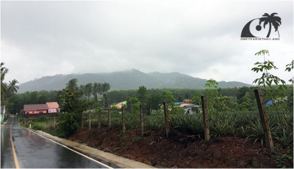 Az időjárás Phuket (Thaiföld) júliusban, az esős évszak (vélemény) Az időjárás Phuket (Thaiföld) júliusban, az esős évszak