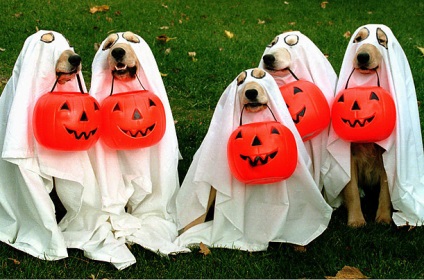 Halloween képek, fotók, történelem (kép) Halloween képek, fotók, történelem