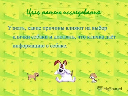 Előadás a névválasztás egy kutya (válogatás) Előadás a névválasztás egy kutya