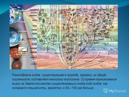 Előadás a téma eredményeként speciation mikroevolúció