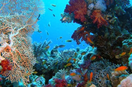 Látványosságok itt: Sharm el-Sheikh (szórakozás) Látványosságok itt: Sharm El Sheikh