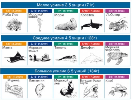 Gumik zárójelek különböző rögzítési módszerek, ajánlások