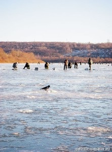 Horgászat - tészta, ördögök - és - kecske (kecske nagyon gyakran) Horgászat - tészta, ördögök - és - kecske