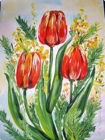 Döntetlen tulipán, ország mesterek (master class) Döntetlen tulipán, ország művészek