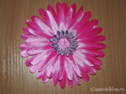 Pink gerbera a szakterületen kanzasi (Vegyünk egy szirom) Pink gerbera a szakterületen kanzasi