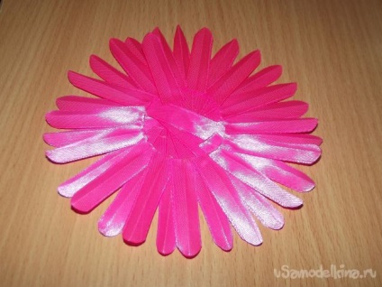 Pink gerbera a szakterületen kanzasi (Vegyünk egy szirom) Pink gerbera a szakterületen kanzasi