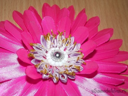 Pink gerbera a szakterületen kanzasi (kanzasi) Pink gerbera a szakterületen kanzasi