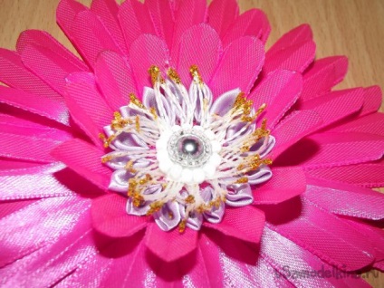 Rózsaszín gerbera a szakterületen kanzasi (második szirmok ragasztás) Pink gerbera a szakterületen kanzasi