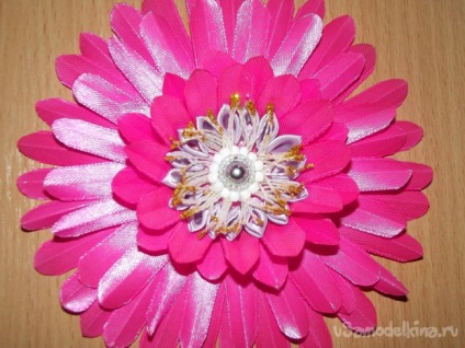 Pink gerbera a szakterületen kanzasi (kanzasi) Pink gerbera a szakterületen kanzasi