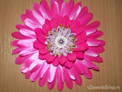 Pink gerbera kanzasi a szakterületen (technológia) Pink gerbera a szakterületen kanzasi