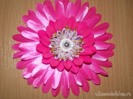 Pink gerbera a szakterületen kanzasi