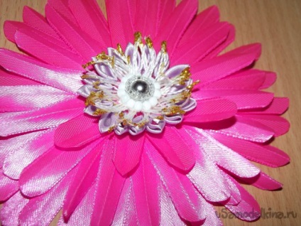Pink gerbera kanzasi a szakterületen (technológia) Pink gerbera a szakterületen kanzasi