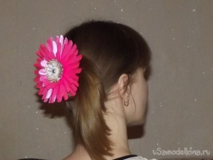 Rózsaszín gerbera a szakterületen kanzasi (második szirmok ragasztás) Pink gerbera a szakterületen kanzasi