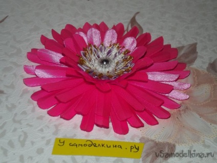 Rózsaszín gerbera a szakterületen kanzasi (második szirmok ragasztás) Pink gerbera a szakterületen kanzasi