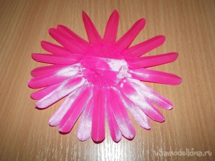 Rózsaszín gerbera a szakterületen kanzasi (második szirmok ragasztás) Pink gerbera a szakterületen kanzasi