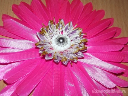 Pink gerbera a szakterületen kanzasi (kanzasi) Pink gerbera a szakterületen kanzasi