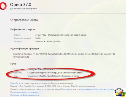 Állítsa vissza a böngésző beállításait induló, beállítás Windows és Linux (beállítások) szerverek Állítsa vissza a böngésző beállításait induló, beállítás Windows és Linux szerverek