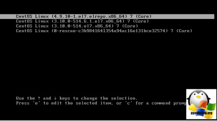 Visszaállítása gyökér cetnos 7 cetnos jelszót és 6. beállítás Windows és Linux szerverek (Linux) Visszaállítása root jelszót cetnos cetnos 7 és 6 felállítása Windows és Linux szerverek