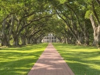 Louisiana, USA (Louisiana, LA, USA) (JA) Louisiana, USA (Louisiana, LA, USA)