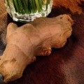Zeller juice előnyök és ártalmak (zeller) Zeller juice előnyei és hátrányai