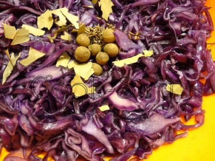 Sós vöröskáposzta - lépésről lépésre recept fotókkal snack (sós főzés vörös káposzta) Sós vöröskáposzta - lépésről lépésre recept fotókkal snack