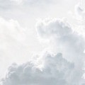 Álomértelmezés zöld álom, mi álom zöld (mi) Álomértelmezés zöld álom, mi álom, zöld