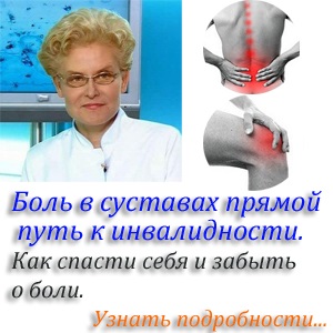 Hegyi fenyő mugus kerttervezés, fotó (mugus) Hegyi fenyő mugus kerttervezés, fotó