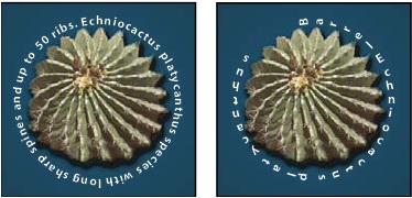 A szöveg létrehozása hatások photoshop (Photoshop) A szöveg létrehozása hatások photoshop